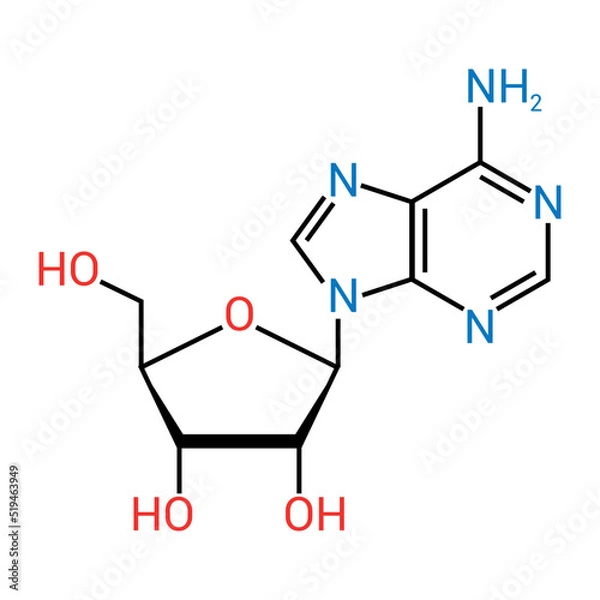 Fototapeta chemical structure of Adenosine (C10H13N5O4)