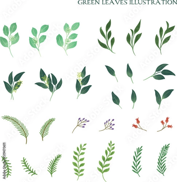 Obraz 水彩タッチの葉っぱのイラスト