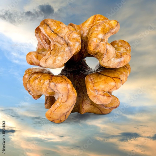 Obraz Walnut kernel on the cloud