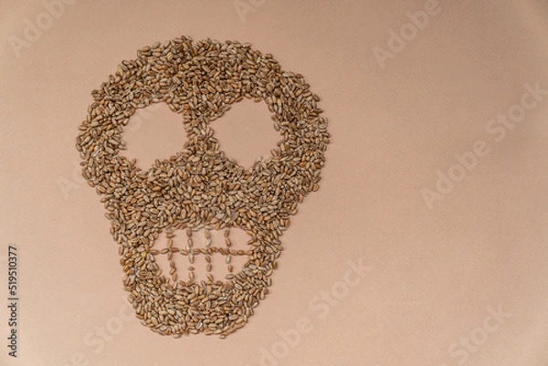 Fototapeta A skull made of wheat. Hunger. The food crisis. The global crisis. Consequences of the war. The problem with wheat from Ukraine. Empty space on the right