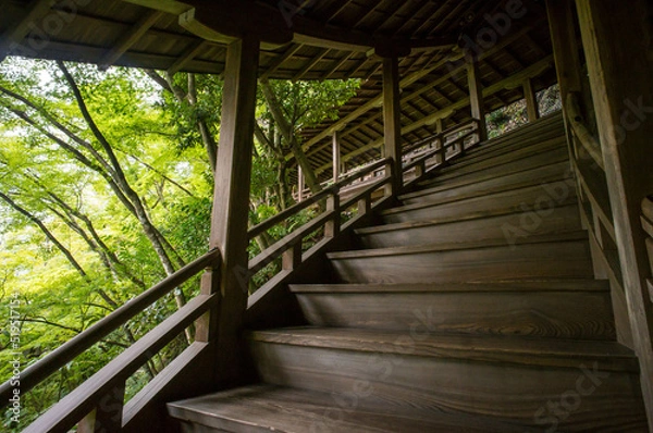 Fototapeta 京都 永観堂の芸術的な螺旋階段と美しい新緑
