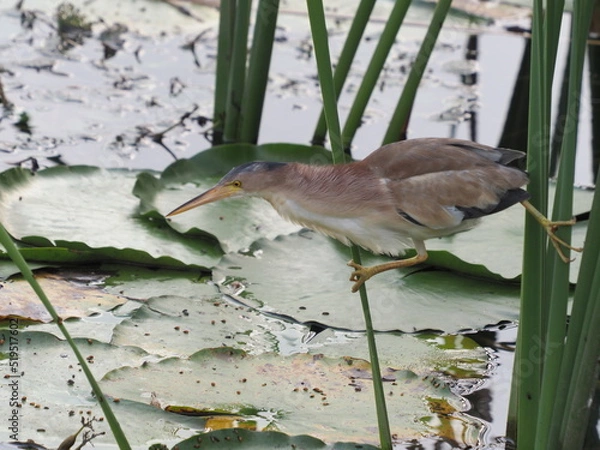 Obraz OLYMPUS DIGITAL CAMERA