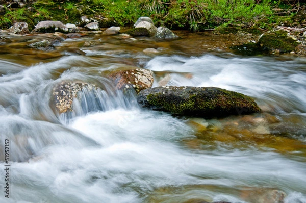 Fototapeta 渓流
