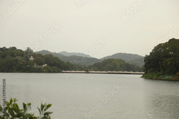 Obraz river in the forest     Dark  mode  