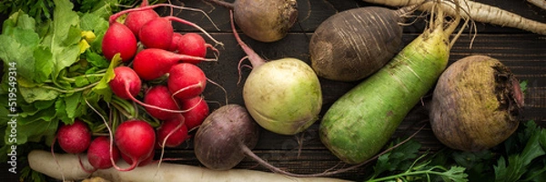Fototapeta Root vegetables on a wooden background, different types of radish with beetroot and parsley, organic farm vegetables banner