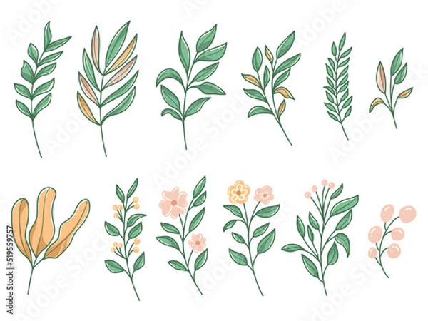 Obraz Leaf cute vector illustration on white background