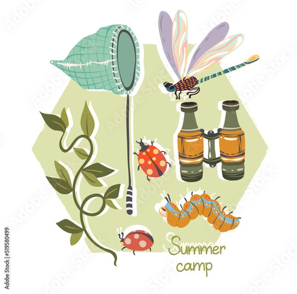 Fototapeta Vector illustration. Summer camp with telescopic Butterfly Net, binoculars. Different insects, caterpillar, ladybug, dragonfly. Postcards, stickers