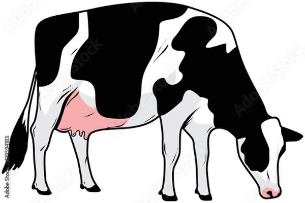 Obraz Illustration of a cow