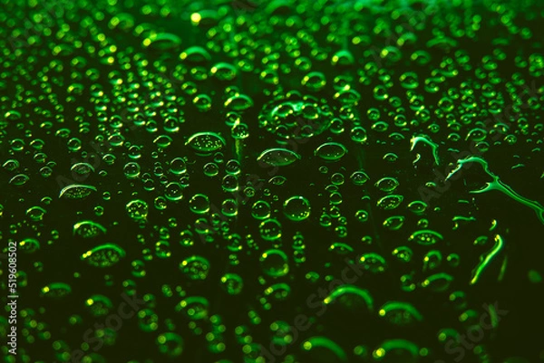 Fototapeta Water drops on green background. Close up of a water drops on a black and green gradient background, covered with drops of water -condensation.