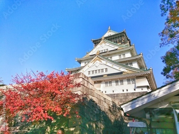Obraz 大阪城