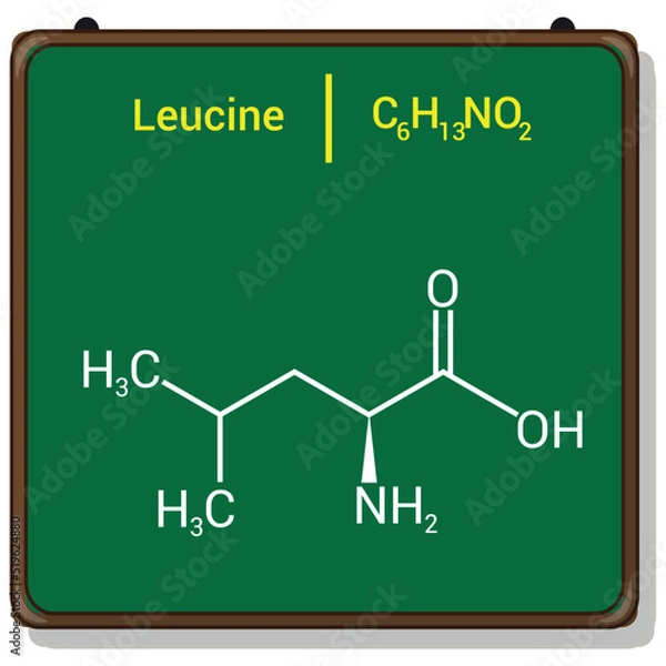 Fototapeta chemical structure of Leucine (C6H13NO2)