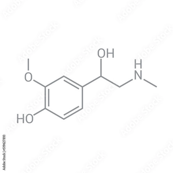 Fototapeta chemical structure of Metanephrine (C10H15NO3)