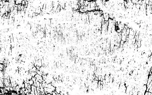 Fototapeta Black white texture of rugged relief fractured bark wood of aged cork oak. Old rough grunge of uneven ridged hard dry crust surface. Deep cut grooved coated layer, convex ornate textured rustic design
