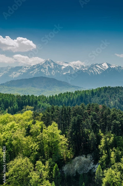 Obraz Carpathian Mountains Scenery