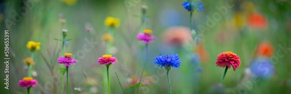 Fototapeta beautiful meadow flowers with nice bokeh - soft focus art floral background