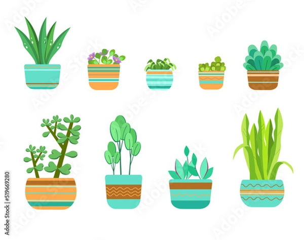 Obraz Set with home floral