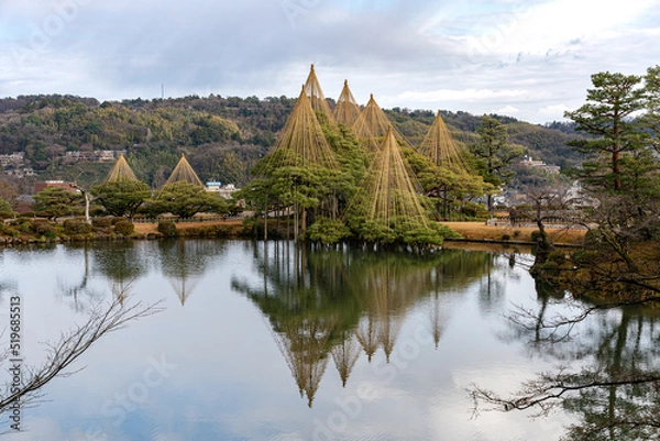 Obraz 初冬の兼六園・霞ヶ池と雪吊りされた唐崎松