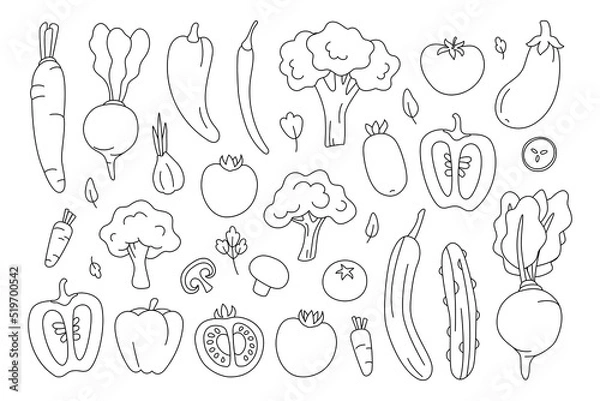 Obraz Set of contour vegetables. Fresh organic products isolated on white background. Monochrome icons: tomato, pepper, cucumber, beet, garlic, broccoli, carrot, eggplant, mushroom. Vector illustration.