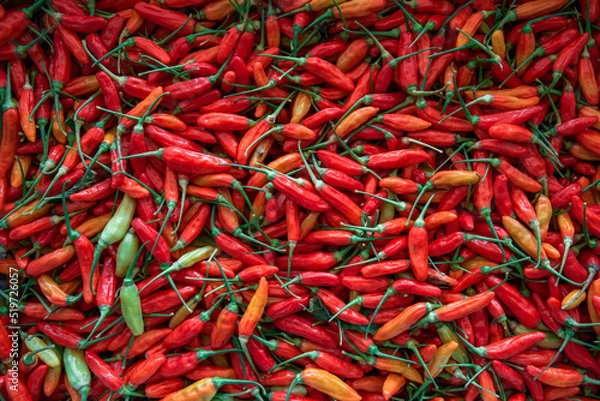 Fototapeta Top View Pile of Fresh Chili and Ripe Red Hot Chili in The Basket for Sale in The Vegetables Market of Bali, Indonesia Background Texture or Template to mock up or input Text