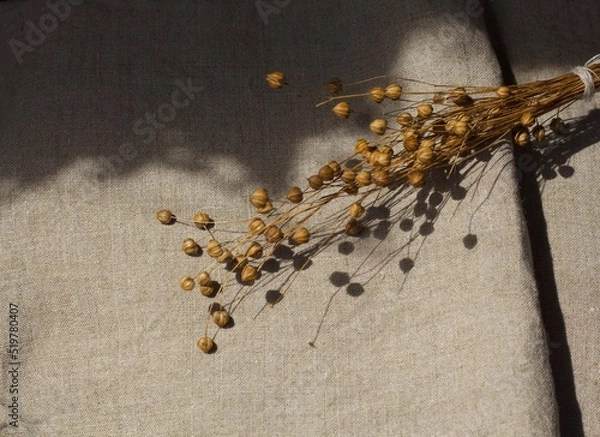 Obraz lavender in the region