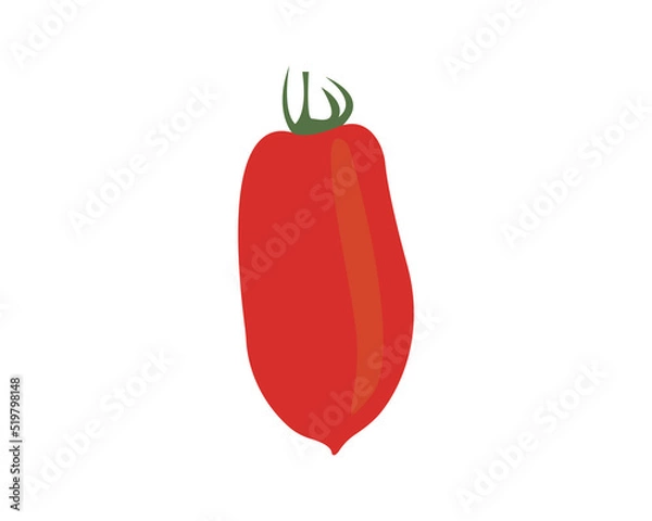 Obraz Tomato vector illustration 