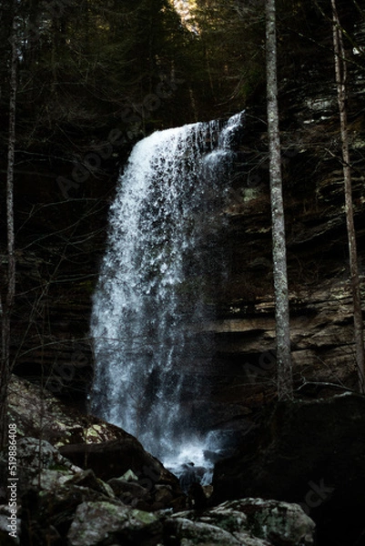 Obraz waterfall in the forest