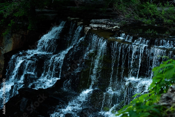 Obraz waterfall in the forest