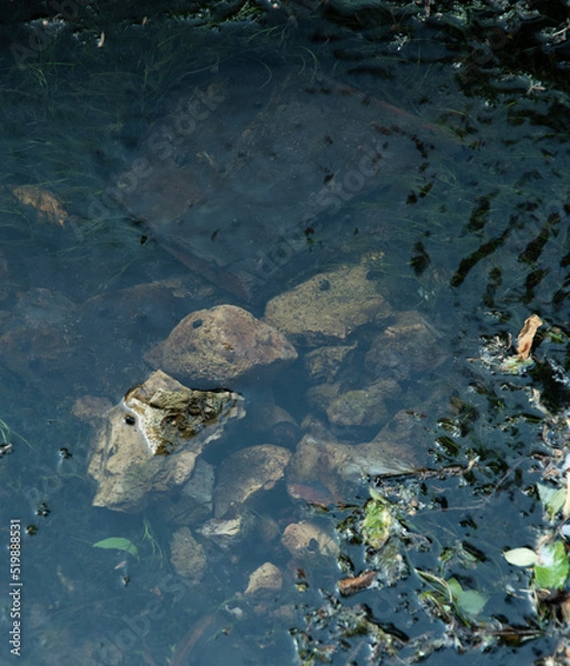 Obraz rocks through the water