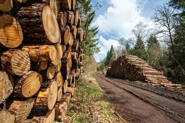 Obraz Stock de grumes