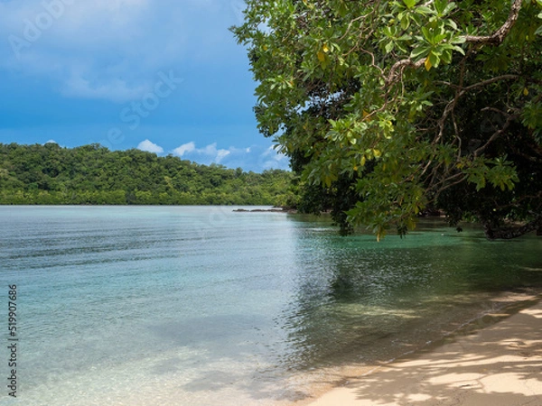 Obraz Tropical Paradice