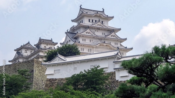 Fototapeta 日本の城