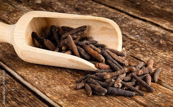 Obraz Long pepper or Piper longum