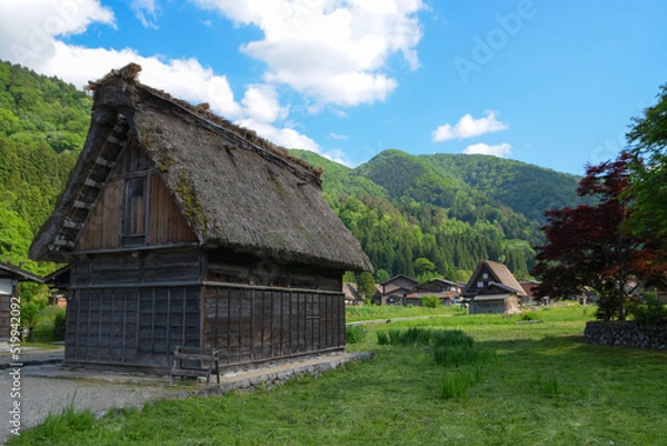 Fototapeta 日本の合掌造りの古い家屋
