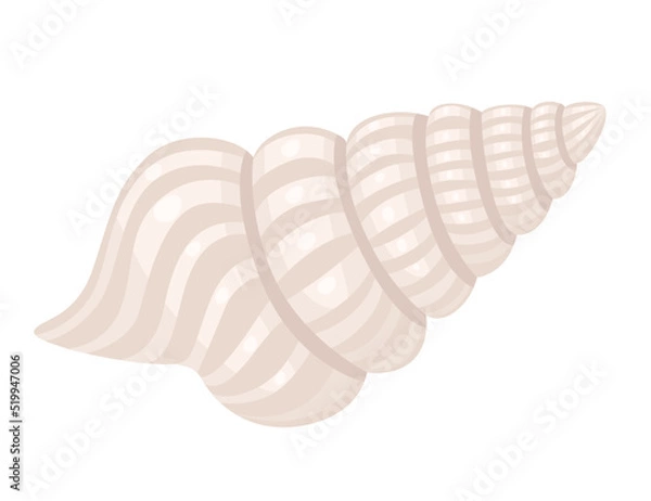 Fototapeta Colorful tropical underwater shell cartoon design vector illustration isolated on white background