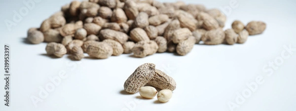 Obraz Peanuts on white for background