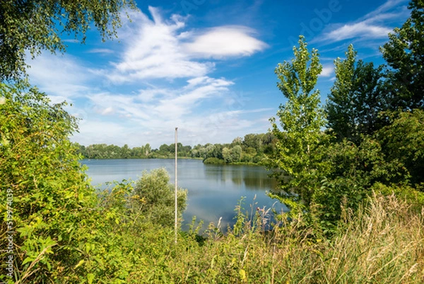 Obraz lake and forest