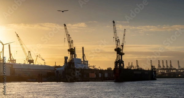 Obraz sunset in the port