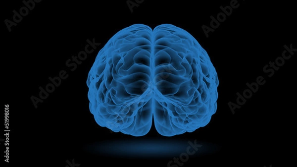 Obraz Brain