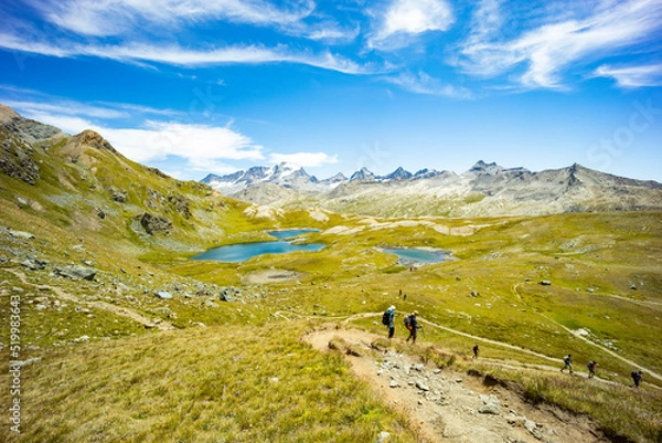 Fototapeta Excursion on the Gran Paradiso in the Alps. Walk in immense valleys and very high peaks above 3000m. Glacial lakes with crystal clear water and green meadows. The peaks crowned by huge rocks.