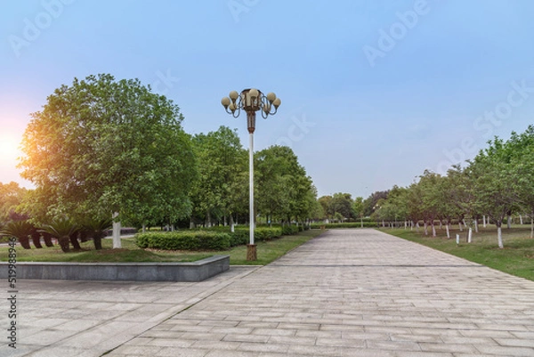 Obraz outdoor empty marble road with trees in the park