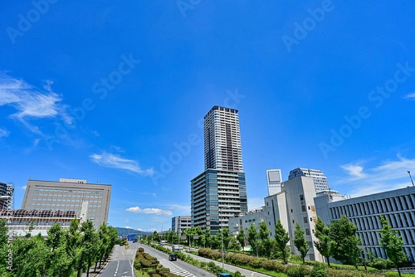 Obraz 青空背景のタワーマンションのイメージ写真