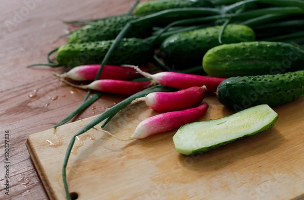 Obraz Fresh cucumbers and radishes on the rustic table. Fresh spring vegetables.Healthy eating.