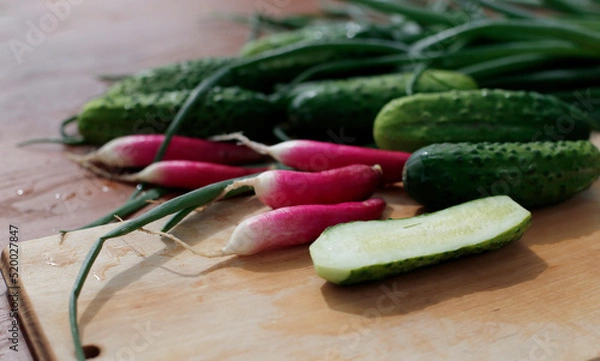 Obraz Fresh cucumbers and radishes on the rustic table. Fresh spring vegetables.Healthy eating.