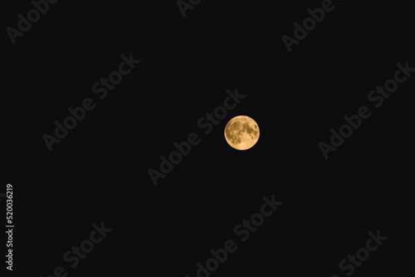 Obraz moon in the dark