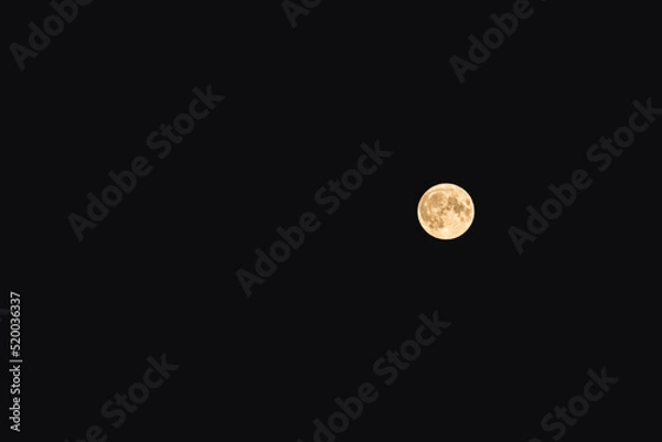 Obraz moon in the night