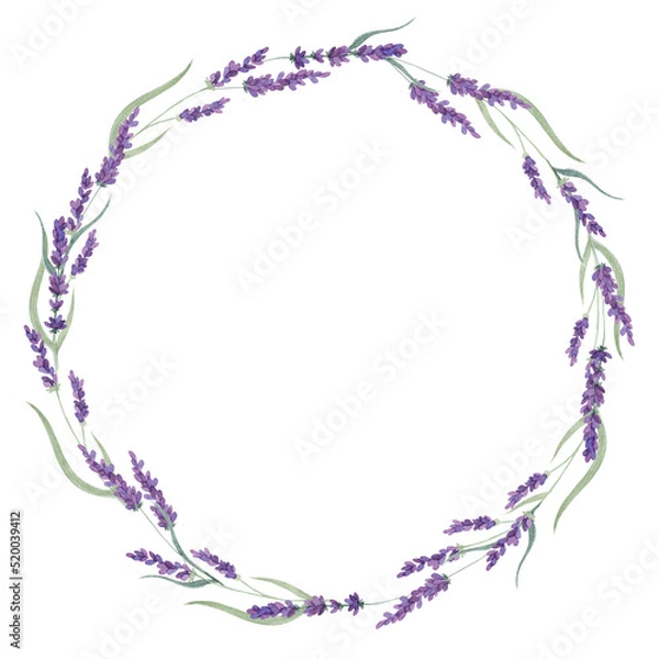 Fototapeta Botanical illustration, wreath with watercolor lavender on a white background. Frame for greeting, holidays etc.