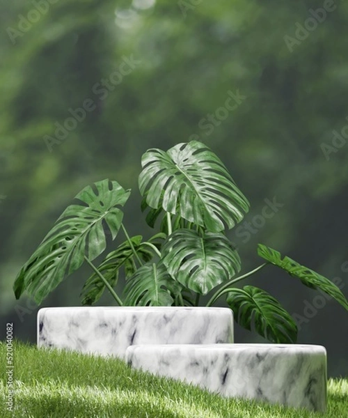 Fototapeta Cosmetic background for product presentation.minimal podium for fashion magazine,grass natural background,beauty and cosmetics product. 3d render illustration