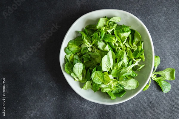 Fototapeta mache salad green corn leaves mung bean lettuce fresh healthy meal food snack diet on the table copy space food background 