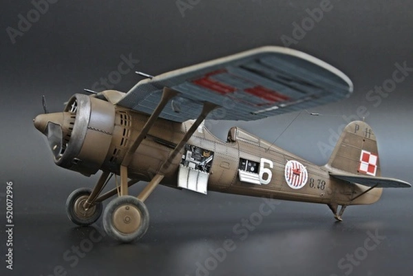 Obraz PZL P.11c Polish Fighter