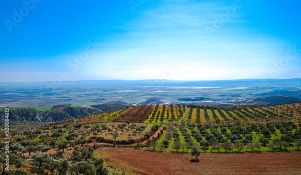 Obraz nature and valley view